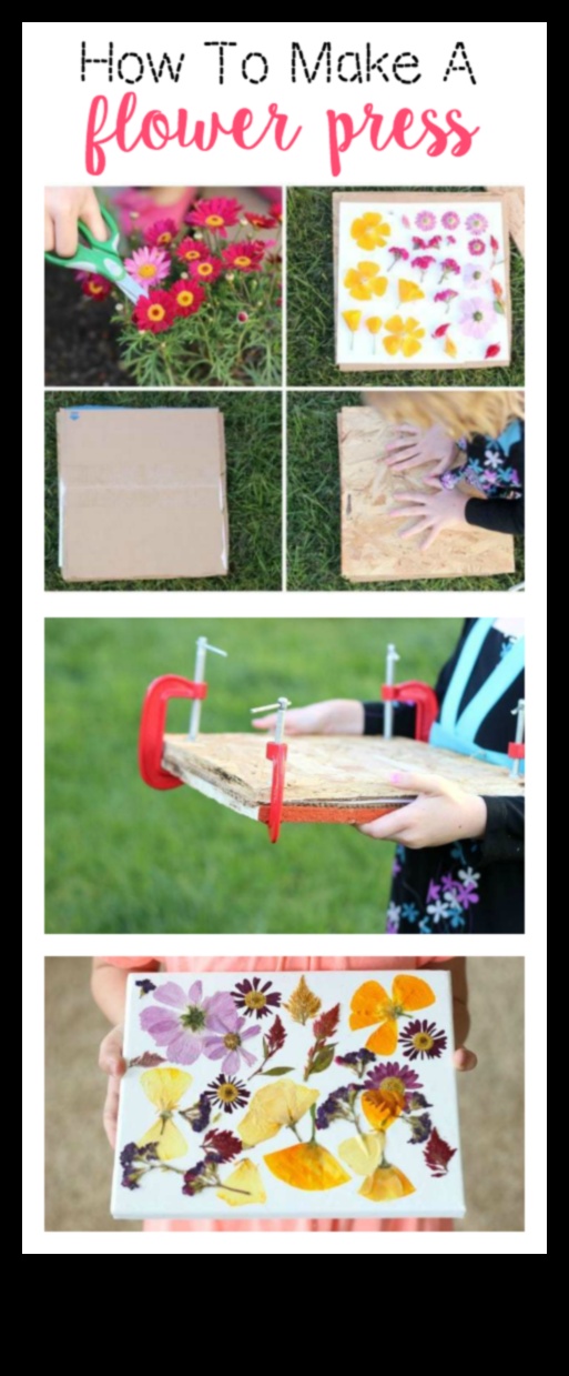 مكبس الزهور الذي تصنعه بنفسك للأطفال: صناعة روائع نباتية