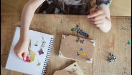مكبس الزهور الذي تصنعه بنفسك للأطفال: صناعة روائع نباتية
