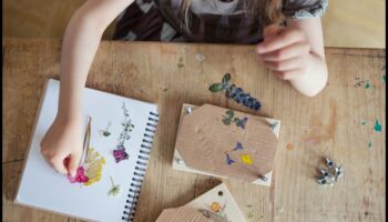 مكبس الزهور الذي تصنعه بنفسك للأطفال: صناعة روائع نباتية