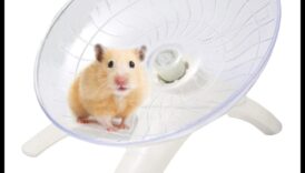 زوبعة عجلة الهامستر: متعة الدوران للهامستر النشط