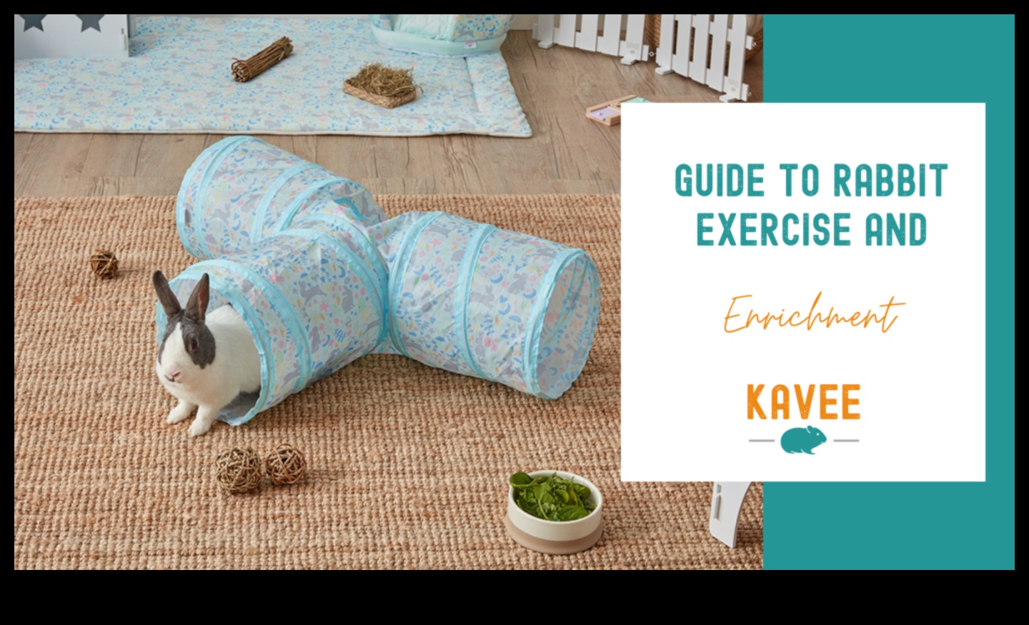 نعيم الأرنب: أنشطة إثراء للأرانب المرحة