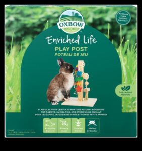 نعيم الأرنب: أنشطة إثراء للأرانب المرحة