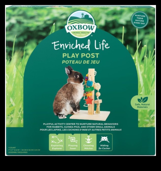 نعيم الأرنب: أنشطة إثراء للأرانب المرحة