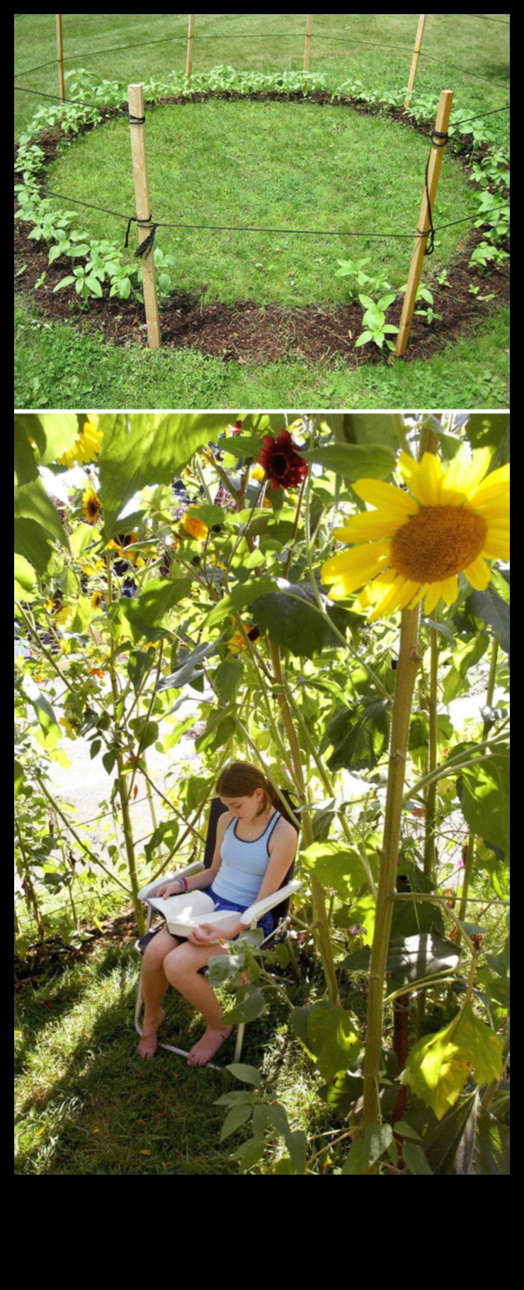 فن الإبهام الأخضر: الأعمال اليدوية الإبداعية لعشاق الحدائق