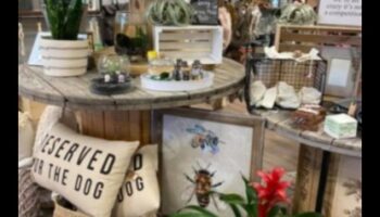 فن الإبهام الأخضر: الأعمال اليدوية الإبداعية لعشاق الحدائق