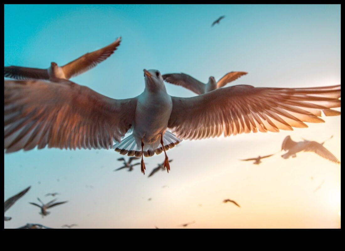 تصوير الطيور 101: نصائح لالتقاط صور مذهلة للطيور