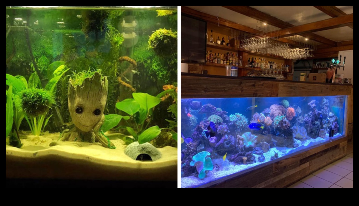 استمرار فن حوض الأسماك: موضوعات إبداعية لأنماط أحواض السمك المختلفة