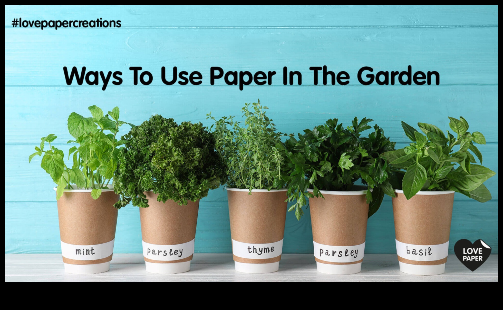 مزارعي الأعمال الورقية DIY: جلب المساحات الخضراء إلى مساحتك الخاصة