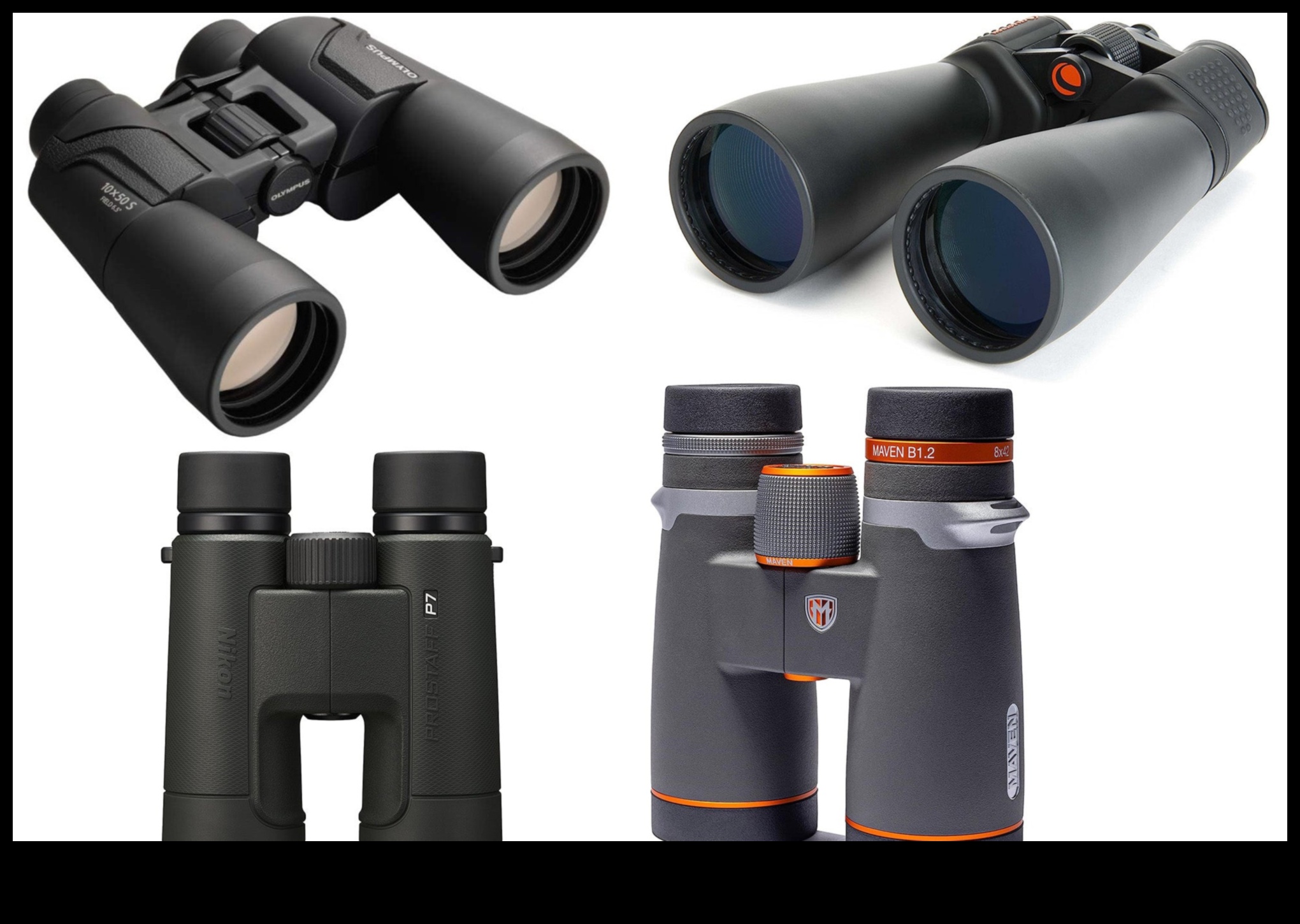 مناظير الطيور 202: ميزات متقدمة لمراقبي الطيور الجادين