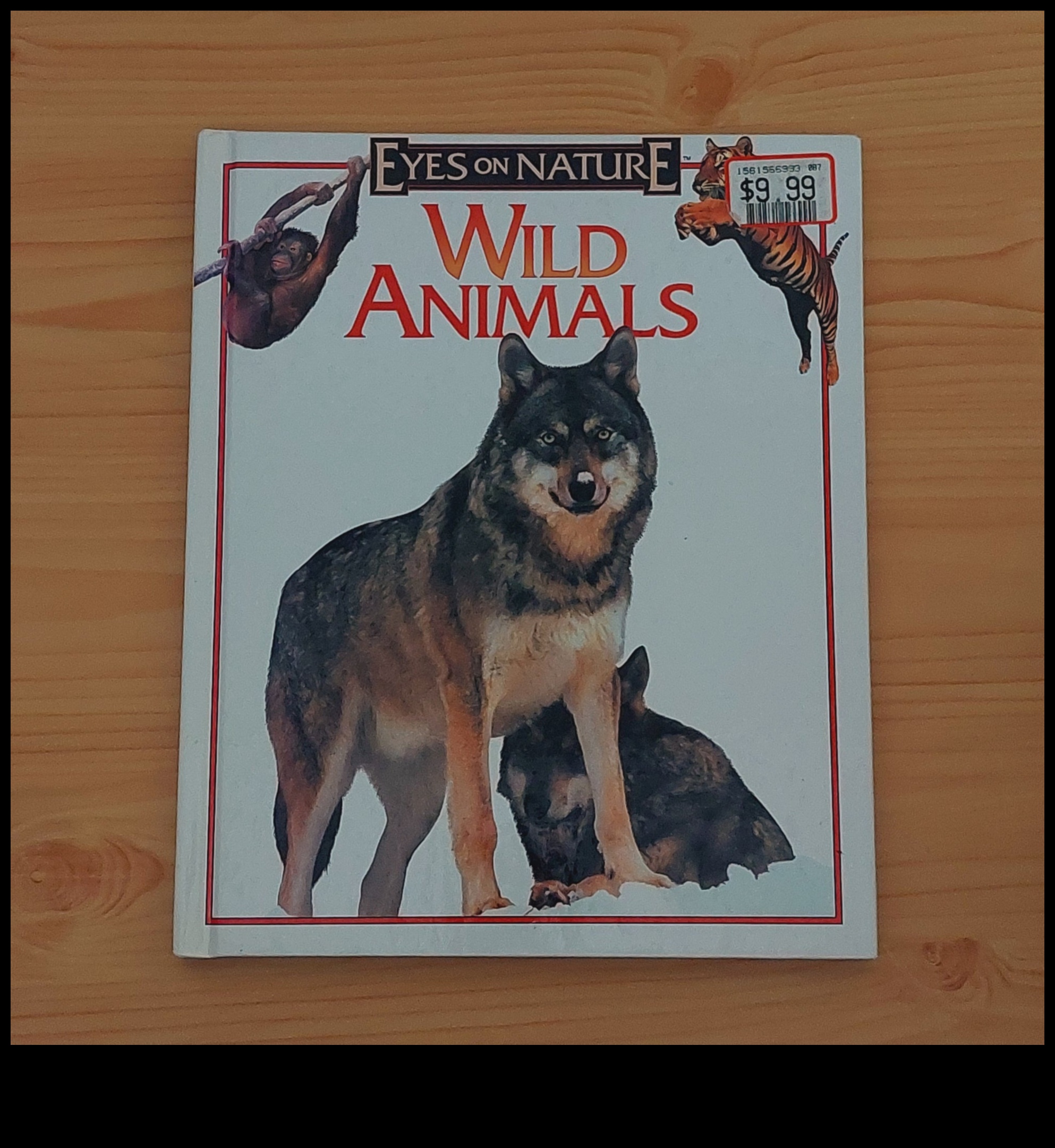 حبر البرية: سجلات وضعت مع روايات الحياة البرية