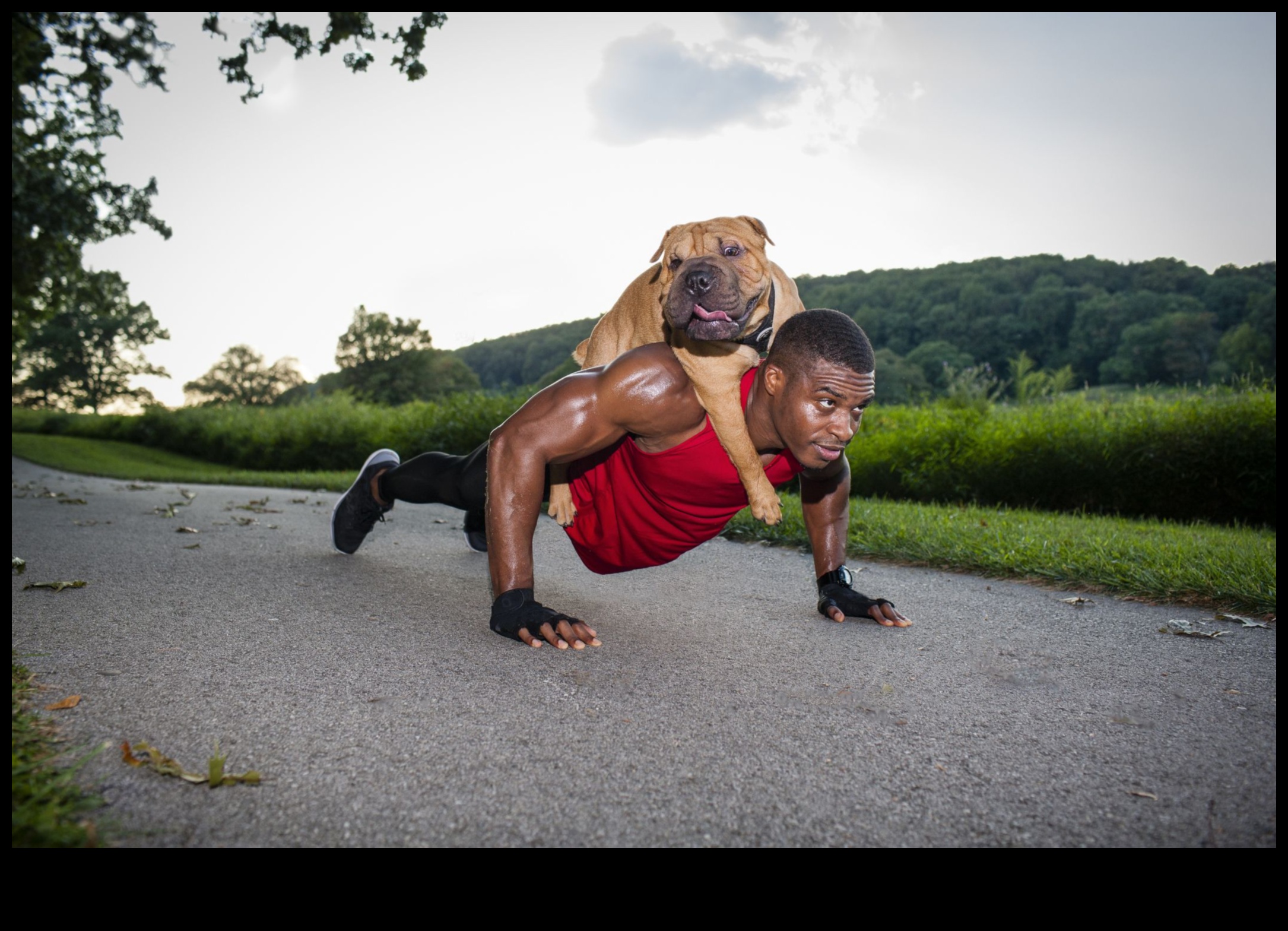 أمراض القلب للكلاب: الحفاظ على لياقة كلبك من خلال التمارين الممتعة