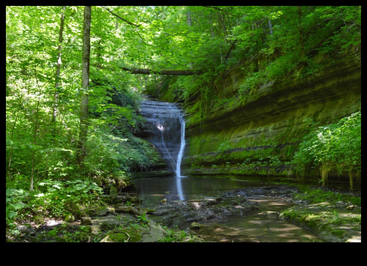 ملاذ في الطبيعة: استكشاف المحميات البيئية