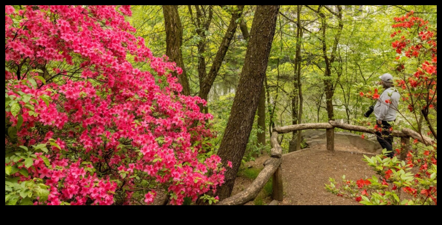 ملاذ في الطبيعة: استكشاف المحميات البيئية