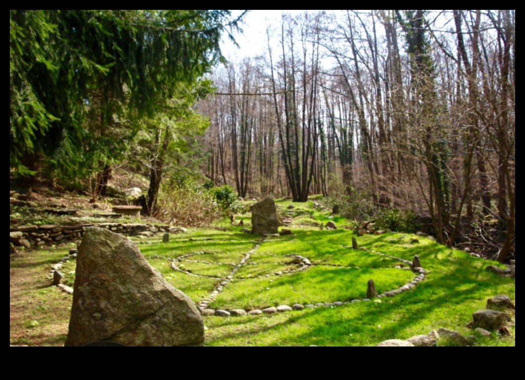 ملاذ في الطبيعة: استكشاف المحميات البيئية