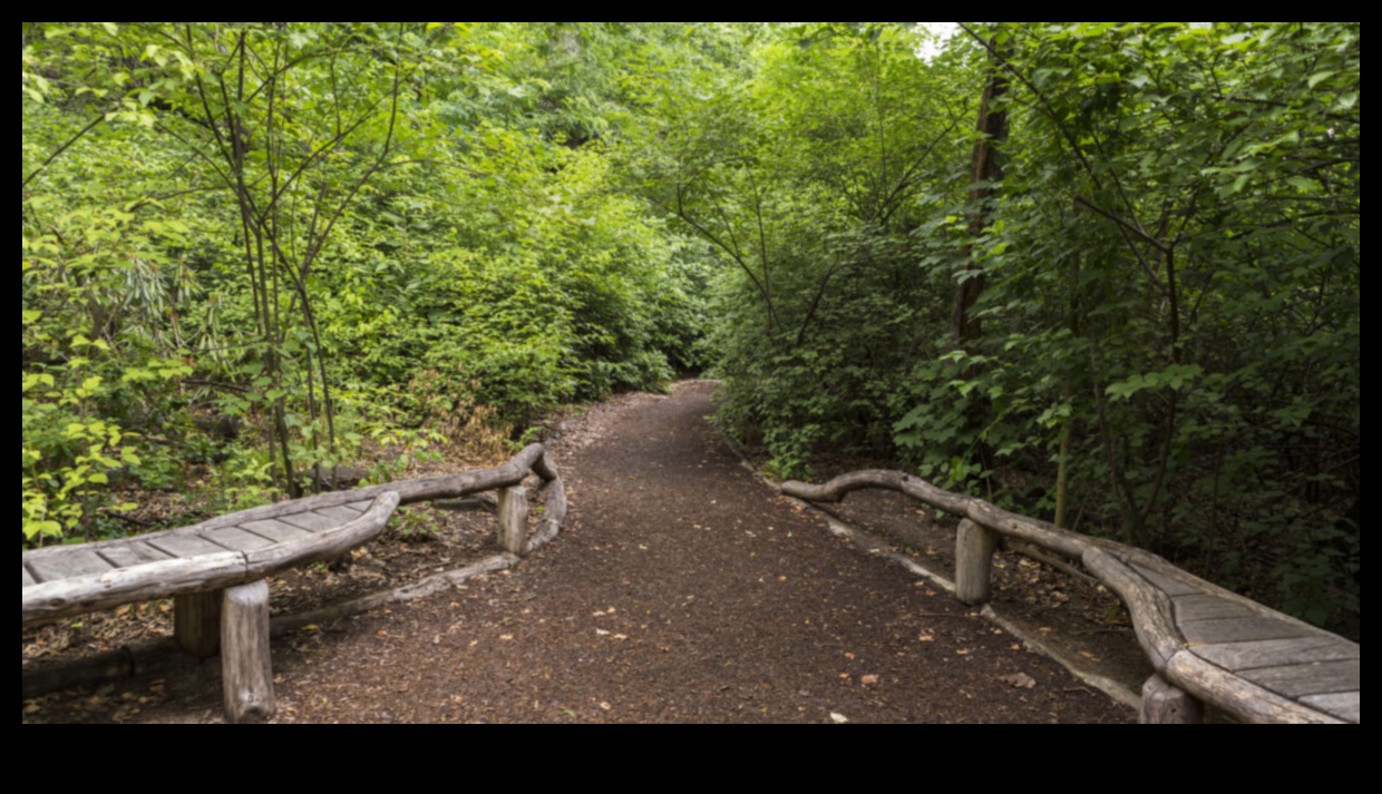 ملاذ في الطبيعة: استكشاف المحميات البيئية