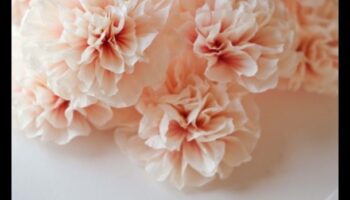 حديقة الورق: الإبداع المتزايد مع المصنوعات الورقية الزهرية