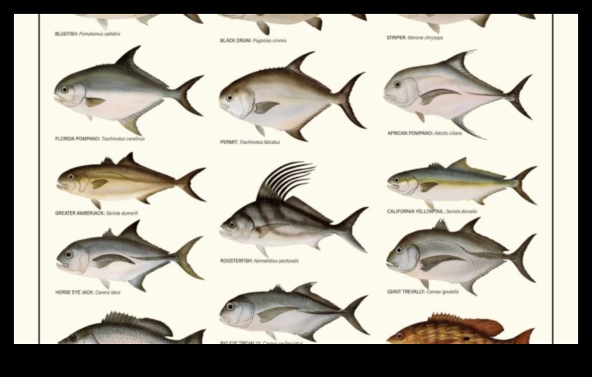 تابع أصدقاء فين: الأسماك ذات الهياكل الاجتماعية الرائعة