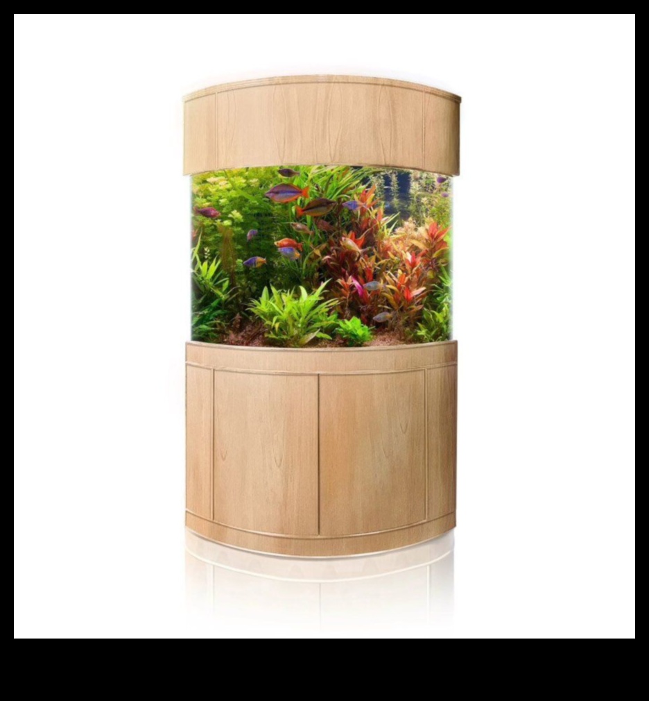 فجوة إكسسوارات أكوا: إنشاء زاوية أنيقة في حوض السمك الخاص بك