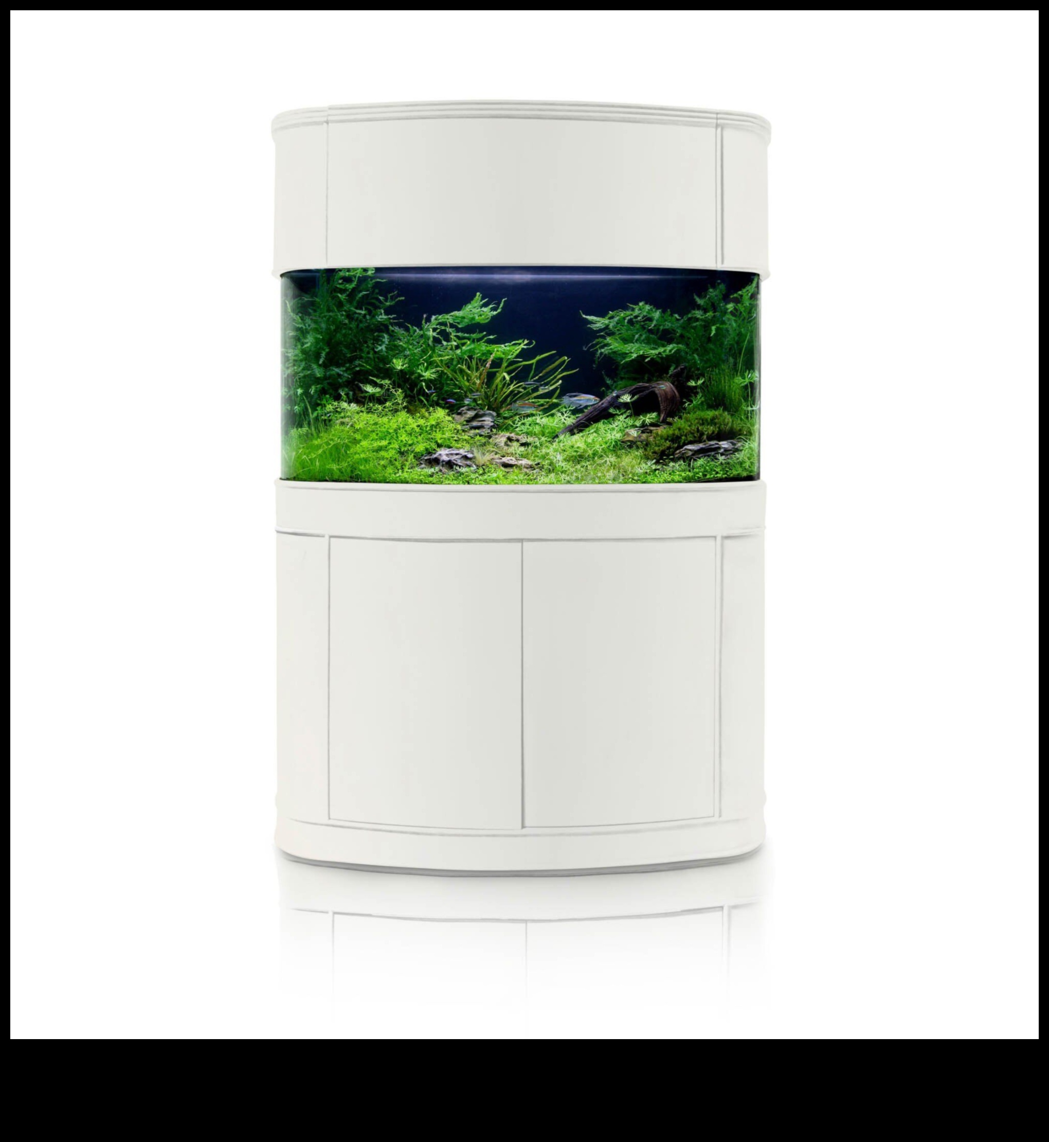 فجوة إكسسوارات أكوا: إنشاء زاوية أنيقة في حوض السمك الخاص بك