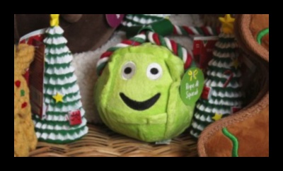 هدايا DIY لمحبي الحيوانات: هدايا تتمحور حول الحيوانات الأليفة