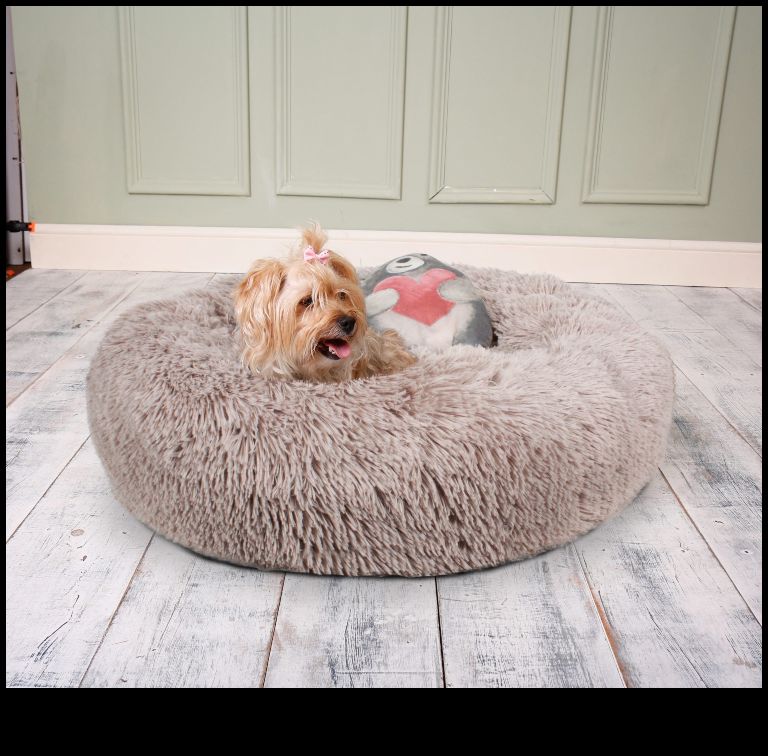 هدايا DIY لمحبي الحيوانات: هدايا تتمحور حول الحيوانات الأليفة