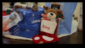 هدايا DIY لمحبي الحيوانات: هدايا تتمحور حول الحيوانات الأليفة