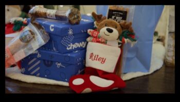 هدايا DIY لمحبي الحيوانات: هدايا تتمحور حول الحيوانات الأليفة