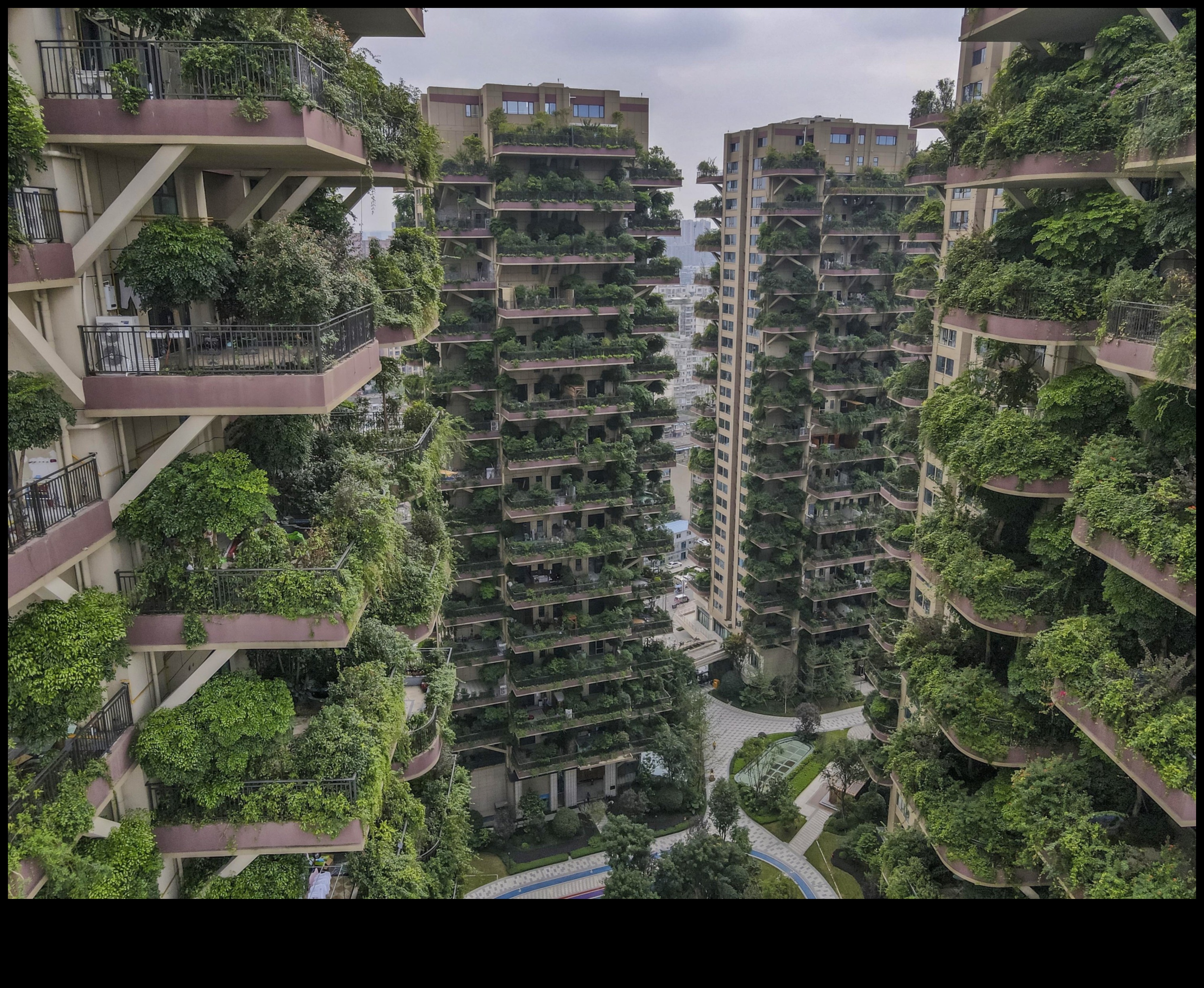 المشاريع العمودية: البستنة الحضرية للمساحات المحدودة