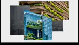 المشاريع العمودية: البستنة الحضرية للمساحات المحدودة