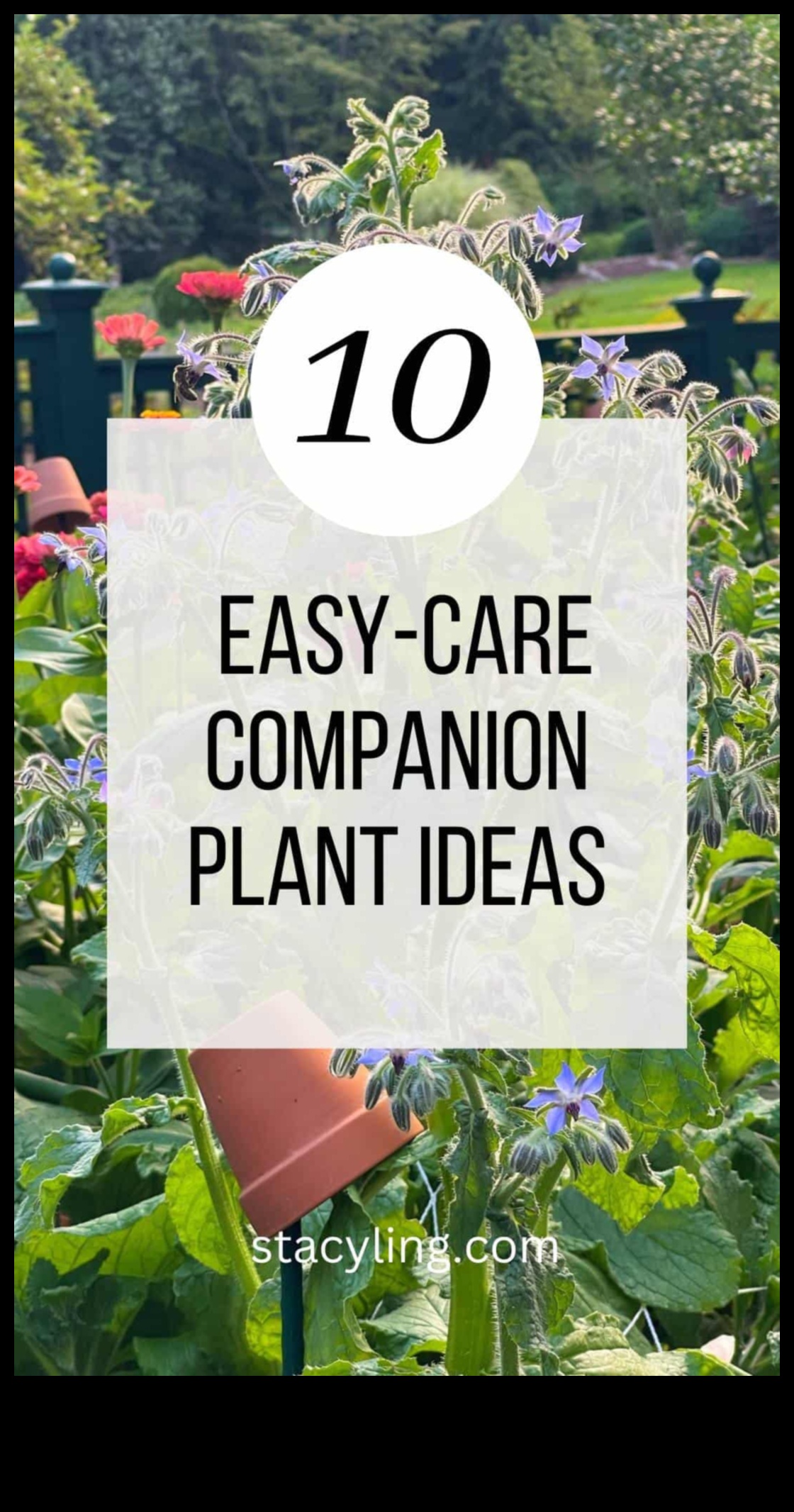 الكمال الشريك: التنقل في إتقان الزراعة المصاحبة