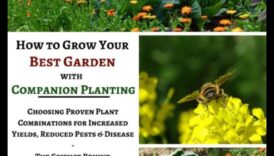 الكمال الشريك: التنقل في إتقان الزراعة المصاحبة