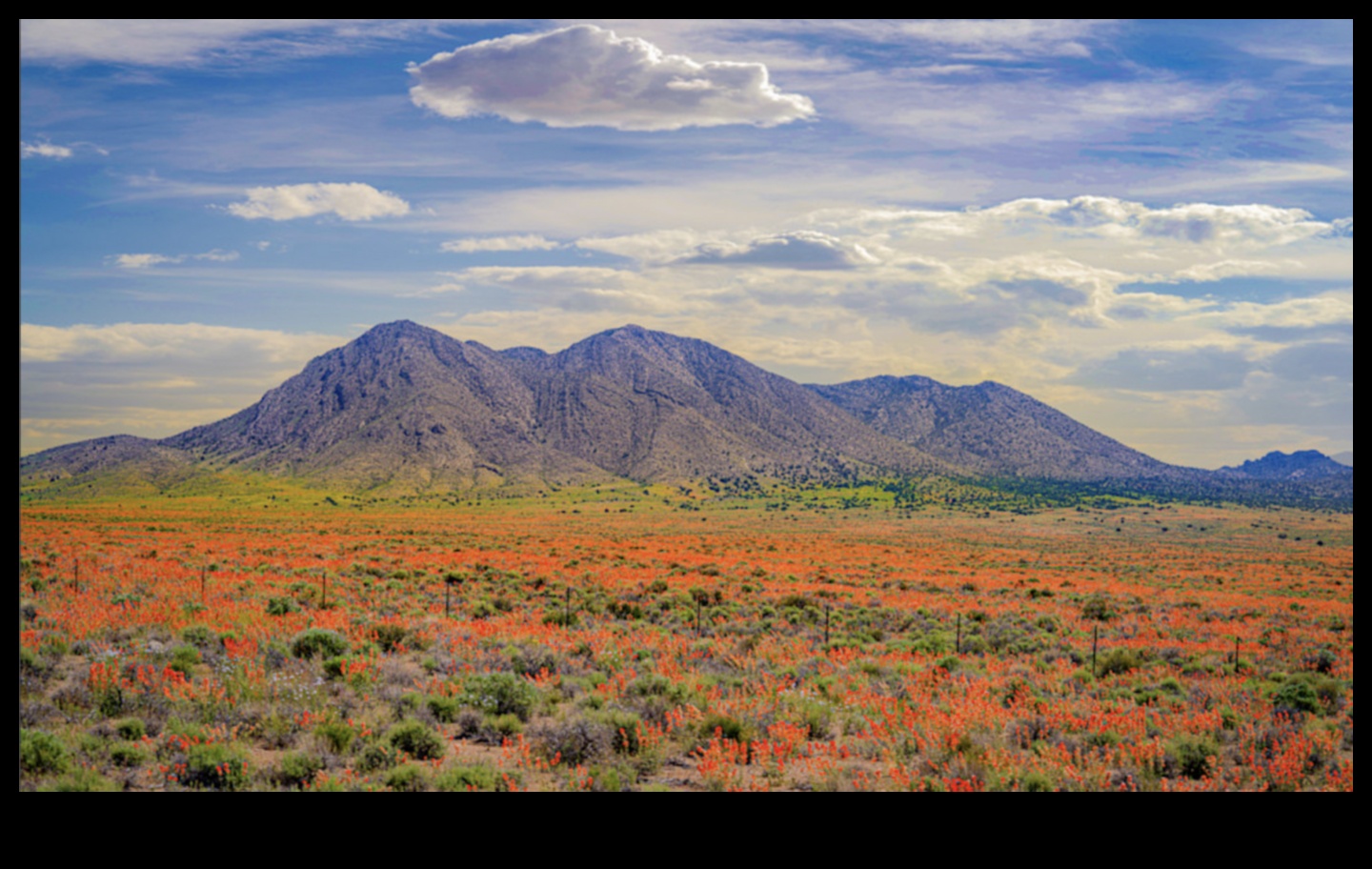 مواسم الروعة: التقاط جمال تغيرات الطبيعة