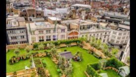 الخلوات على السطح: هروب الأفق في الواحات الحضرية