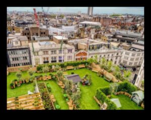 الخلوات على السطح: هروب الأفق في الواحات الحضرية