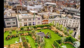 الخلوات على السطح: هروب الأفق في الواحات الحضرية