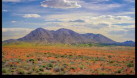 مواسم الروعة: التقاط جمال تغيرات الطبيعة