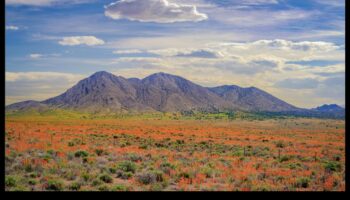 مواسم الروعة: التقاط جمال تغيرات الطبيعة