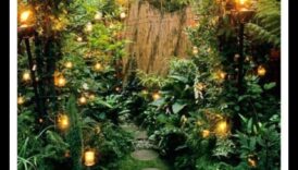 أماكن ساحرة في الهواء الطلق: اكتشف سحر ديكور الحديقة