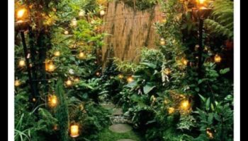 أماكن ساحرة في الهواء الطلق: اكتشف سحر ديكور الحديقة