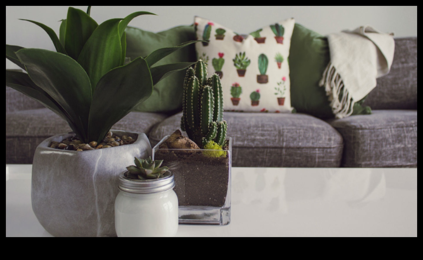 واحة داخلية: إنشاء مساحات خضراء داخل منزلك