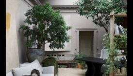 واحة داخلية: إنشاء مساحات خضراء داخل منزلك