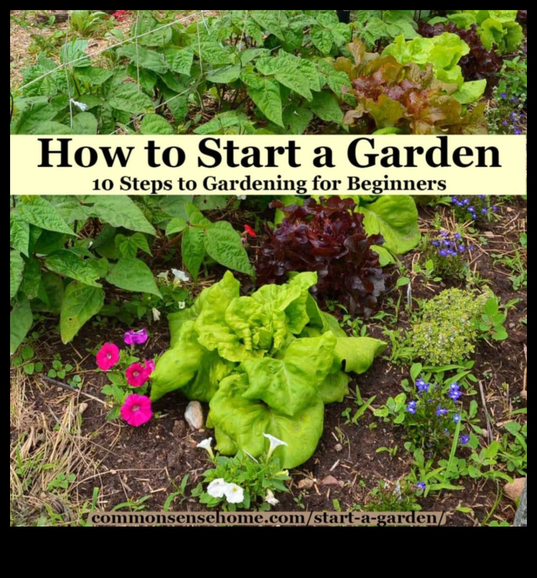 الحدائق المزدهرة تبدأ هنا: الكشف عن المعدات الأساسية