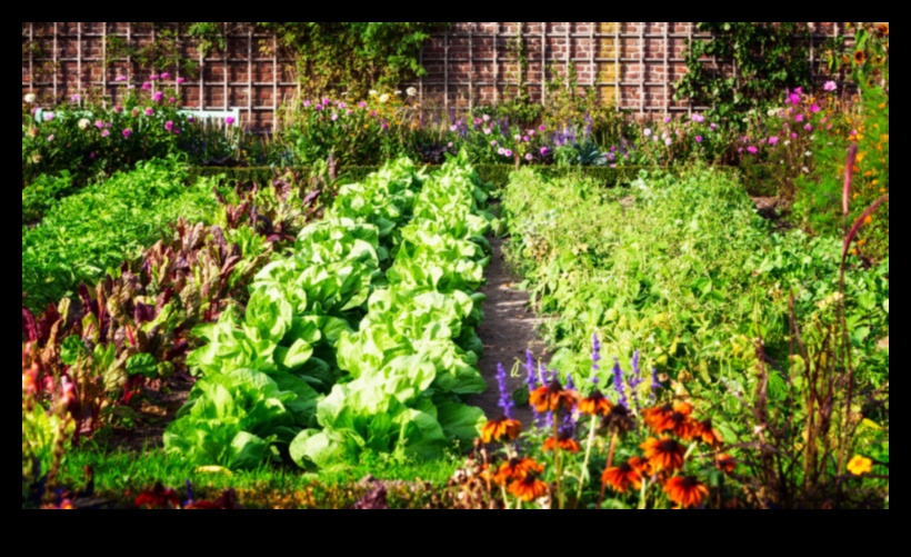 الحدائق المزدهرة تبدأ هنا: الكشف عن المعدات الأساسية