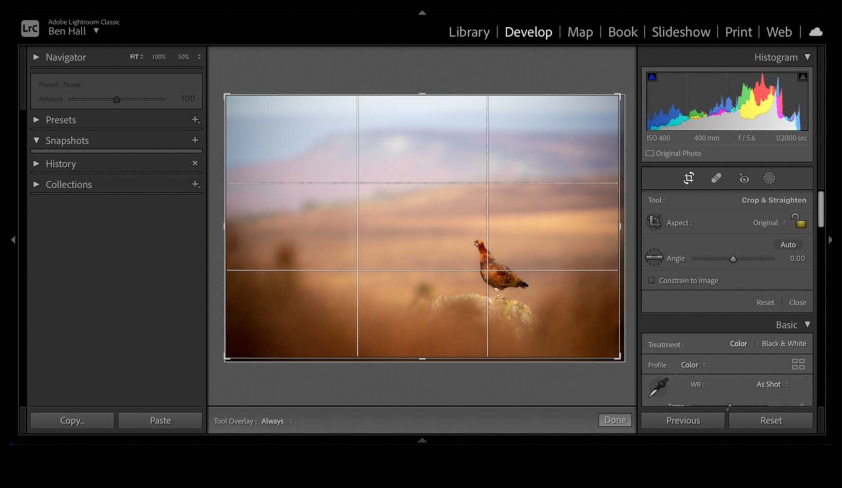 Lightroom وما بعده: دليل برامج تحرير التصوير الفوتوغرافي التي يمكنك صنعها بنفسك