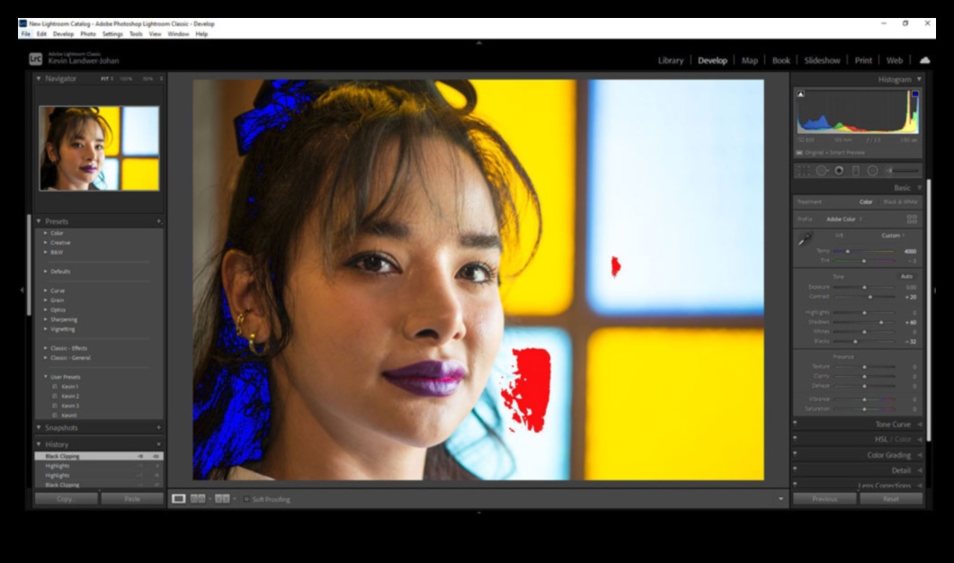 Lightroom وما بعده: دليل برامج تحرير التصوير الفوتوغرافي التي يمكنك صنعها بنفسك