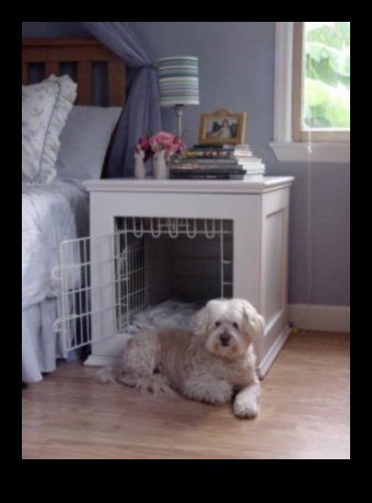 راحة الكلاب: خلق مساحة مريحة لكلبك في المنزل