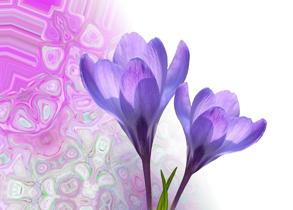 ملاذ مريح في الحديقة مع أرجوحة شبكية وزهور وإطلالة على الجبال