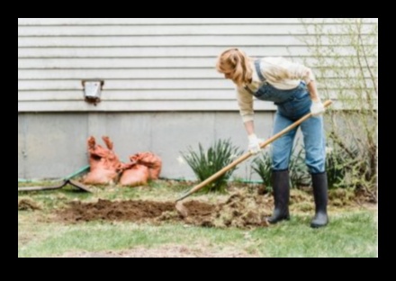 زراعة السحر: أدوات الحدائق الأساسية للبستنة المبهجة
