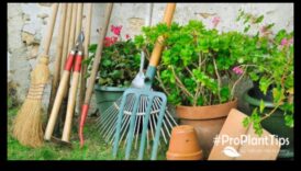 زراعة السحر: أدوات الحدائق الأساسية للبستنة المبهجة