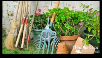 زراعة السحر: أدوات الحدائق الأساسية للبستنة المبهجة